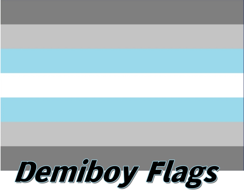 Demiboy Flags